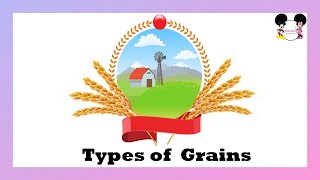 Types of Grains for Children  Learning the Types of Grains for Kids [upl. by Nnylhsa]