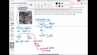 langerhans cell histiocytosis haematology 92 First Aid USMLE Step 1 in UrduHindi [upl. by Nesta]