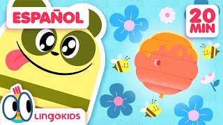 ¿Cómo está la abeja 🐝🍯 Y  Canciones Infantiles  Lingokids en Español [upl. by Fanchon998]