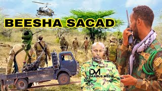 Dagaalkii sacad amp Alshabaab Siduu u dhacay amp AS oo isticmaalay Dhabar Jabin [upl. by Adnuhsal]