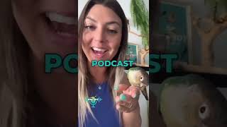 A Podcast ALL ABOUT PARROTS🦜😀 For Short Clips TheParrotPodcast parrots birds parrotcommunity [upl. by Aelem]