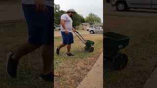 Overseeding my neglected side lawn gardening lawncare lawnmaintenance grass lawn [upl. by Bathsheb55]