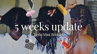 I Reinstalled My 5WeekOld Mini Braids – Heres How I Did It [upl. by Ciardap]