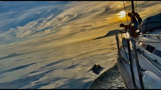 Dolphin Entourage Sailing Spain to Gibraltar [upl. by Eph]