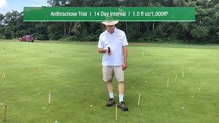 Control Anthracnose with Ascernity [upl. by Aissirac923]