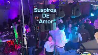 Suspiros de Amor Carnaval en Waterbury Connecticut [upl. by Lokin]