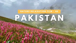 88  Explore Pakistan’s Wildest Most Beautiful Landscapes  Nature Relaxation Film 4K Ultra HD [upl. by Scibert]