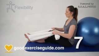 10 Best Exercises for Knee Arthritis Full Physio Sequence [upl. by Nnaoj]