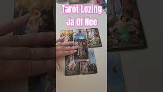 dagelijkse tarot lezingen advies en begeleiding tarot nederlands orakel spiritualiteit [upl. by Nanine]