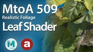 MtoA 509  Leaf Shading  Realistic foliage using Arnold5 and Maya [upl. by Munsey]