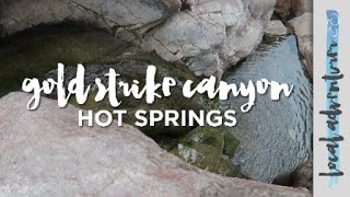 Gold Strike Canyon Hot Springs in Las Vegas  Local Adventurer [upl. by Aneloj]