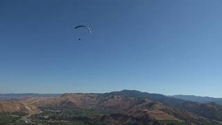 Launcher 2 Mark Shipman C0370 Paragliding Dog Walk Cashmere 08282024 [upl. by Thilde911]