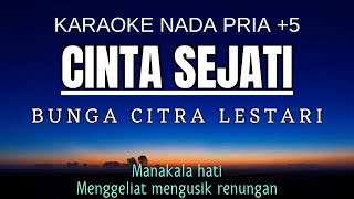 BCL  Cinta Sejati Karaoke Male Key Nada Pria 5 Gm [upl. by Cori]