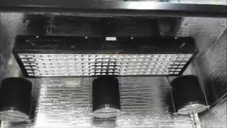 2015 Grow Box USA Silverback Hydroponic Grow Box [upl. by Domenico]