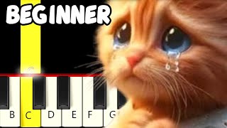 Miaw Miaw Miaw Tiktok Sad Cat Song  Fast and Slow Easy Piano Tutorial  Beginner [upl. by Adria]