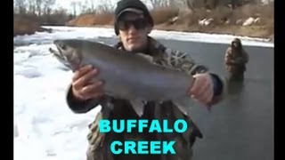 BUFFALO CREEK STEELHEAD [upl. by Lorenzo]