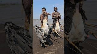 Hadzabe Hunts Marabou Storks at Lake Eyasi hadzabetribe shortsfeed [upl. by Ralli]