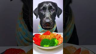 mukbanganimals eatingshow eattingsounds mukbang live livestream dogfood petfood [upl. by Notfilc]