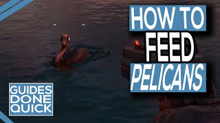 How To Feed Pelican’s In Far Cry 6 [upl. by Marpet]