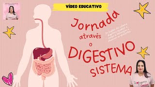 VÍDEO EDUCATIVO SOBRE O SISTEMA DIGESTIVO COMO FUNCIONA O PROCESSO DE DIGESTÃO [upl. by Serena862]