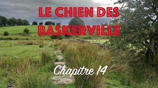 Livre audio  le Chien des Baskerville  Chapitre 14 [upl. by Carlos]