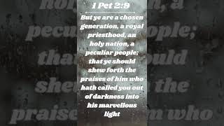 1Pet29 I am a chosen generation glory🙌🙌 bibleverseoftheday bible shorts [upl. by Ahsinaj759]