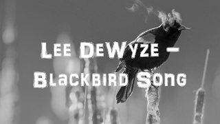 Lee DeWyze  Blackbird Song Acoustic CoverLyricsKaraoke [upl. by Rojam419]