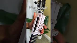 fingerstyleguitarist musicalinstrument guitarguitar fingerstyleguitar fingerstyle guitarcover [upl. by Ecnarwal]