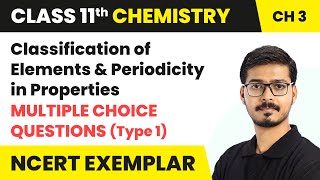 Classification of Elements  MCQs Type 1  Class 11 Chemistry Chapter 3 NCERT Exemplar [upl. by Killam191]