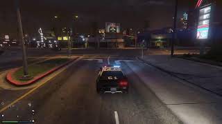 GTA V Los Santos renegades real life rp ps playing as a EMSLEO [upl. by Anelrihs220]