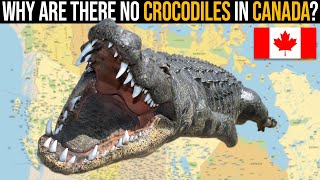 Why Are There No Crocodiles In Canada [upl. by Ciapas476]