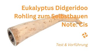 Individuelles Eukalyptus Didgeridoo  Rohling in Note Cis zum Selbstbauen – Test und Klangvorführung [upl. by Ahsienroc]