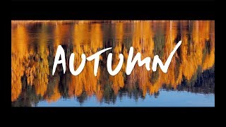 TRIBUTE TO AUTUMN VIDEOS  NORWAY [upl. by Venu522]