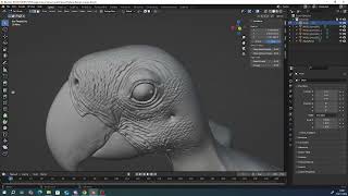 Macaw Retopology  Blender Timelapse [upl. by Siduhey256]