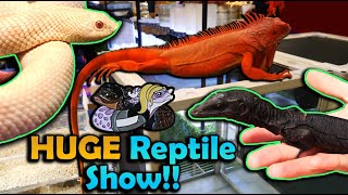 Tinley NARBC March 2023 Reptiles Galore [upl. by Hermon]