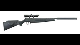 Stoeger X20S Suppressor Pellet Rifle Review [upl. by Ruphina]