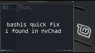 bash lsp quick fix nvChad local servers linuxmint nvchad [upl. by Jadwiga]