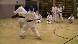 Bunkai Unsu erste Techniken Sensei WolfDieter Wichmann 8 Dan [upl. by Flosser]