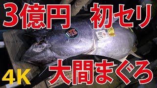 史上最高３億円（280kg）マグロ初競り（初セリ）豊洲市場（大間まぐろ）すしざんまい喜代村（築地場外市場）本まぐろ4KUHD Tokyo Japan [upl. by Gombosi]