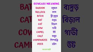 Englishgrammar english grammar bengalimeaning ayetobesohochori [upl. by Ard]