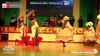 NEGRILLOS DE CHIVAY  NOVAFOLK PERU  Danzas Peruanas  Folklore Peruano [upl. by Suoicul]