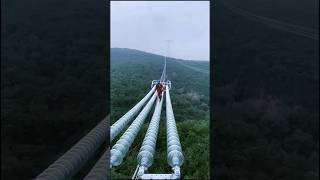 Lineman working youtubeshorts electrican amazing trending [upl. by Llevel]