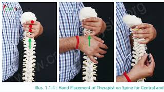 Complete Guide to NAGs Natural Apophyseal Glides Cervical Spine Treatment as per Mulligan Concept [upl. by Parent]