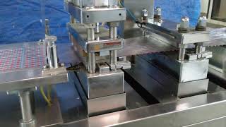 Flat Plate Blister Packing Machine  ALBLISII with Coated Tablets Feeding [upl. by Annamarie713]