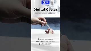 digital flatbed vinyl sticker cutting machine [upl. by Lula]