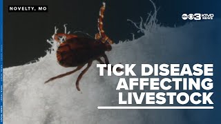 Knowledge about a tick and the disease it spreads was shared at University of Missouris Field Day [upl. by Kiker]