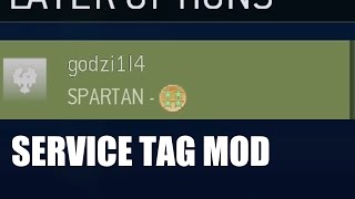 How to add medals to Service Tag in Halo MCC PC [upl. by Isiah]