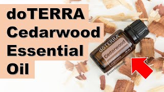 doTERRA Cedarwood Essential Oil Benefits and Uses [upl. by Onek683]