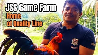 Home of Quality Line  JSS Game Farm TeamPausbong [upl. by Rosmarin79]