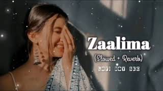 Zaalima  Slowed  Reverb  Arijit Singh  LoFi Songs  Salamat Lofi Tag [upl. by Eillime]